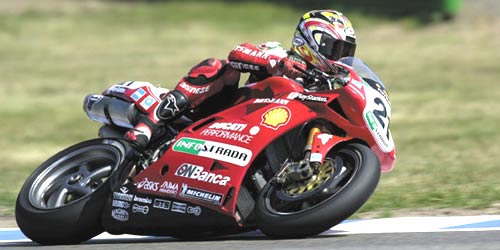 DUCATI 996 – TROY BAYLISS – WORLD SUPERBIKE 2000 1:12 model